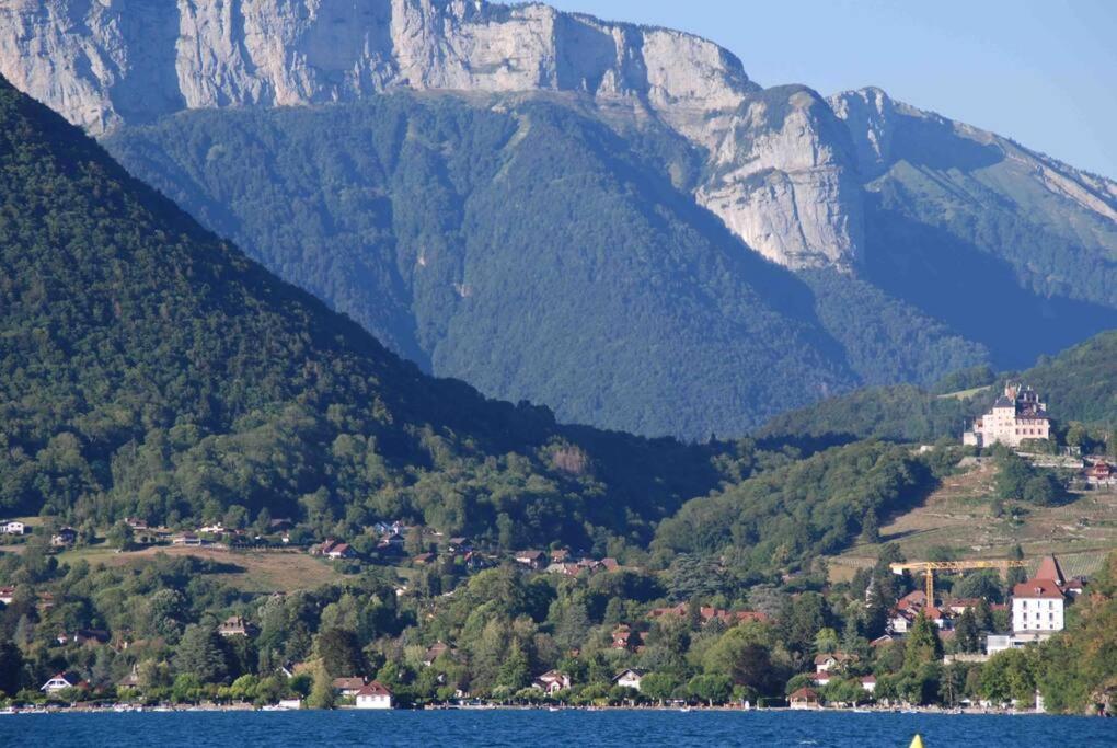 Maison 3 Chambres Au Lac D'Annecy, 30Min La Clusaz Menthon-Saint-Bernard Bagian luar foto