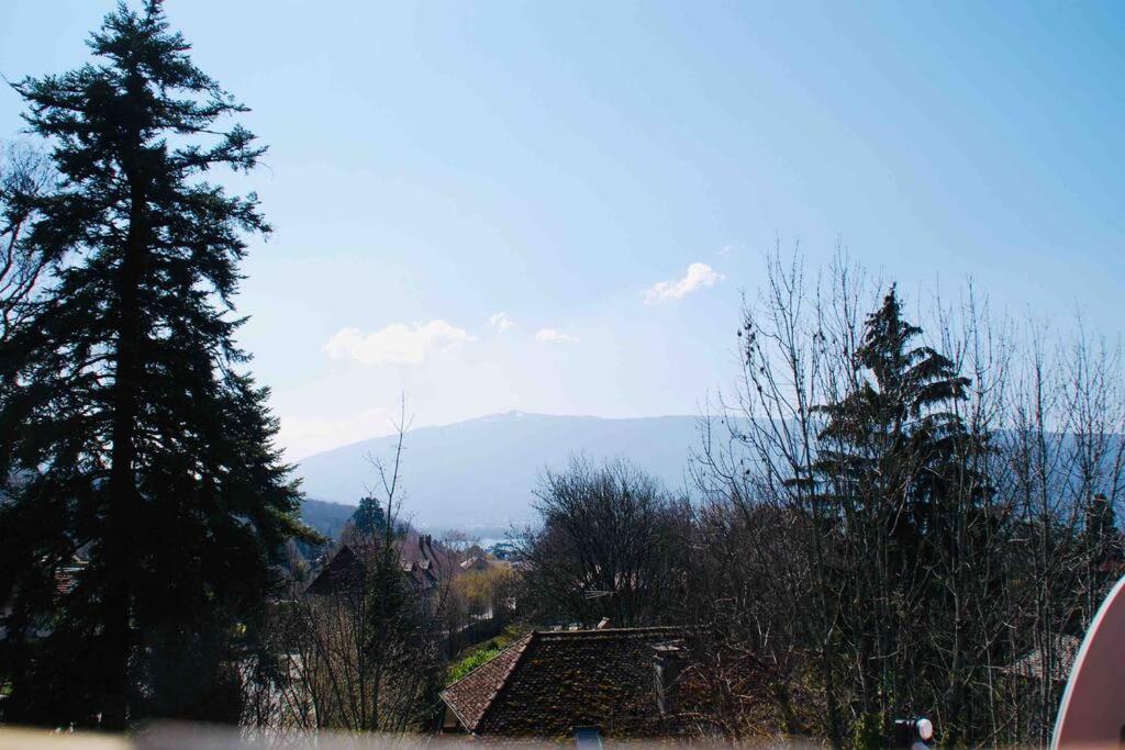 Maison 3 Chambres Au Lac D'Annecy, 30Min La Clusaz Menthon-Saint-Bernard Bagian luar foto