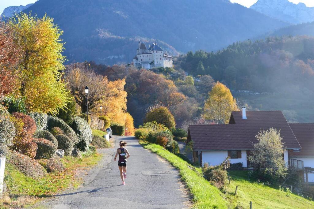Maison 3 Chambres Au Lac D'Annecy, 30Min La Clusaz Menthon-Saint-Bernard Bagian luar foto